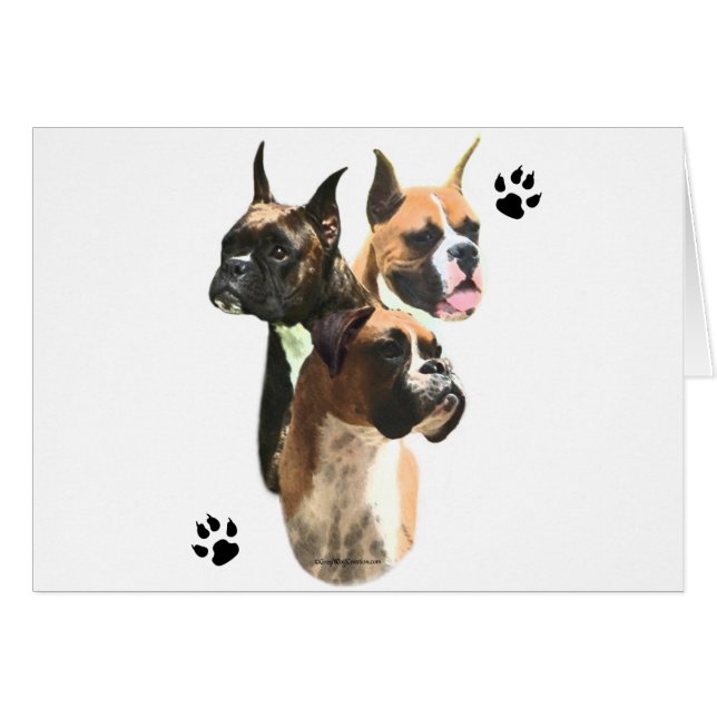 Boxer Trio (Vorderseite (Horizontal))