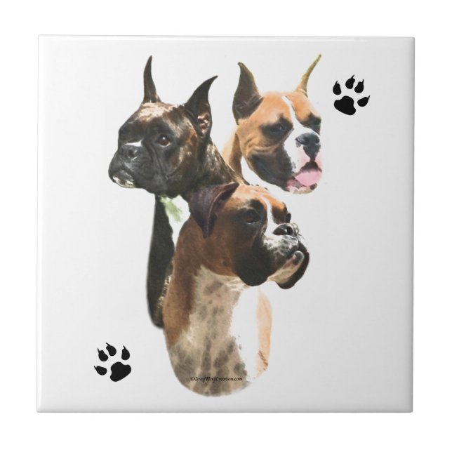 Boxer Trio Fliese (Vorderseite)