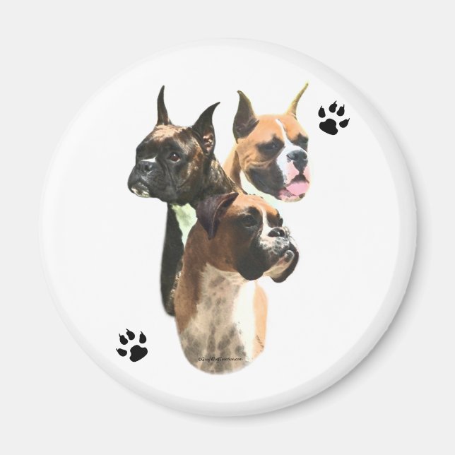 Boxer Trio - Magnet (Vorne)