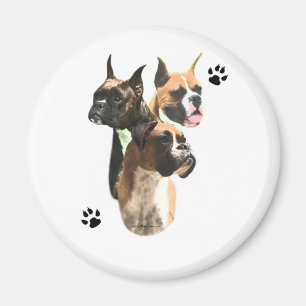 Boxer Trio Magnet
