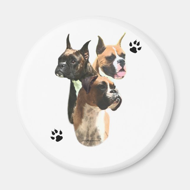Boxer Trio Magnet (Vorne)