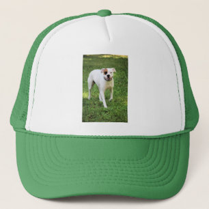 Boxer Truckerkappe