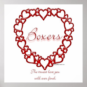 Boxer True Love Poster