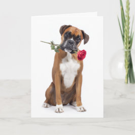 Boxer Valentine – Treues Herz, Spielende Seele Karte
