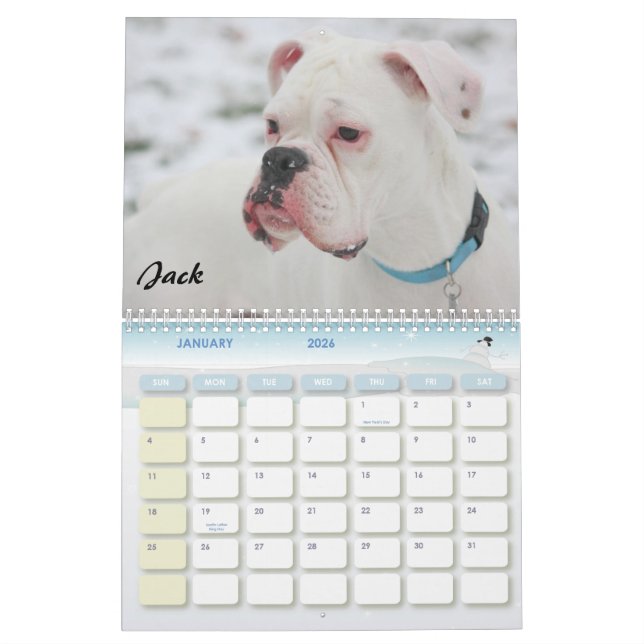 Boxer-verrückter Kalender 2010 (Jan 2026)