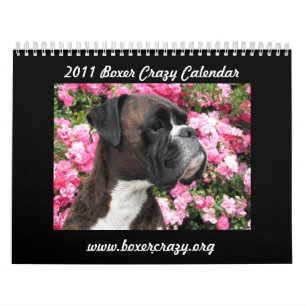 Boxer-verrückter Kalender 2011