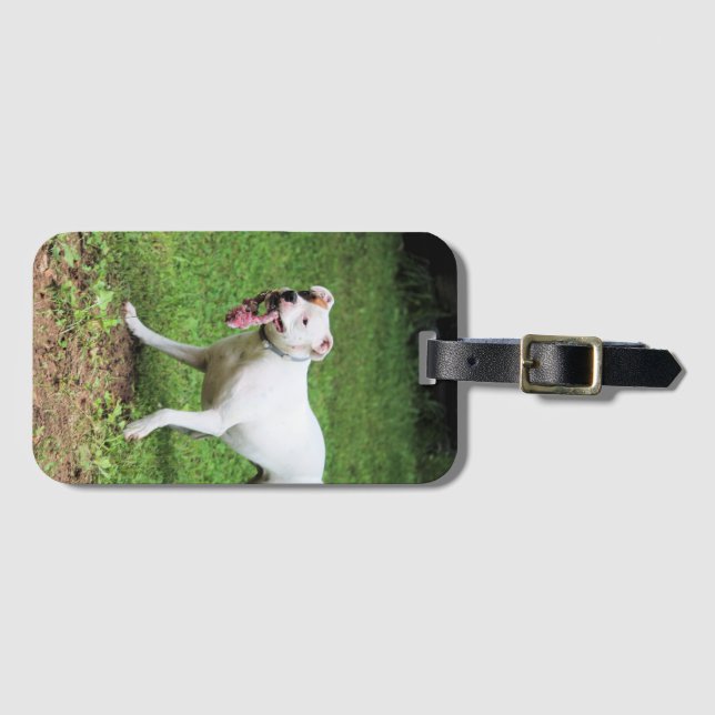 Boxer Visitenkartengehäuse Gepäckanhänger (Vorderseite (Horizontal))