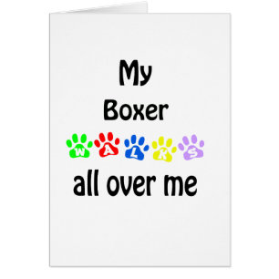 Boxer Walks Design