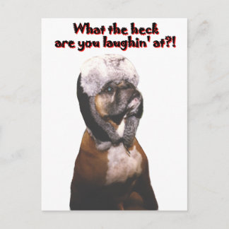 Boxer: Was zum Heck! Postkarte