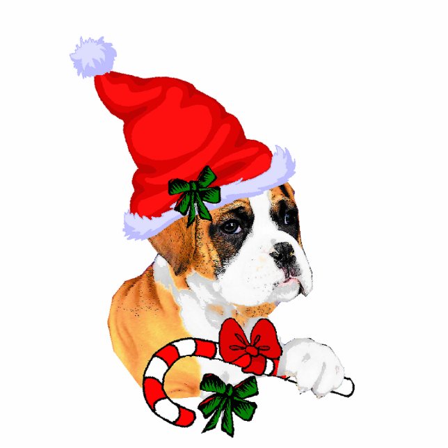 Boxer Weihnachtsgeschenke Ornament Fotoskulptur Ornament (Vorne)