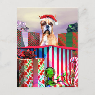 Boxer Weihnachtsüberraschung Feiertagspostkarte