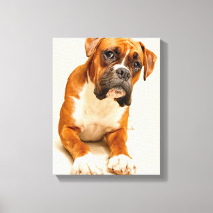 Boxer Welpe auf Elfenbeincreme Hintergrund. Leinwanddruck