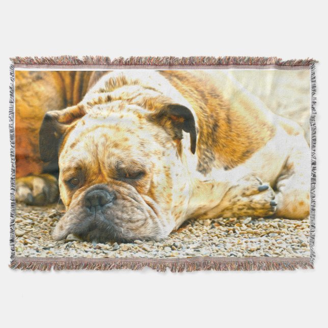 Boxer Welpe Hund Wasser Farbe Öl Farbe Farbe Farbe Decke (Vorderseite)
