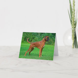 Boxer-Welpen-Hund leere Notizkarte Karte