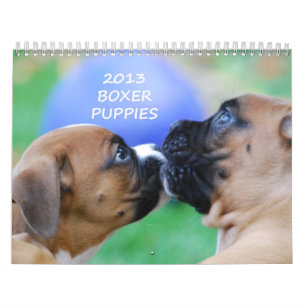 Boxer-Welpen-Kalender 2013 Kalender