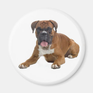 Boxer Welpen-Kühlschrankmagnet Magnet