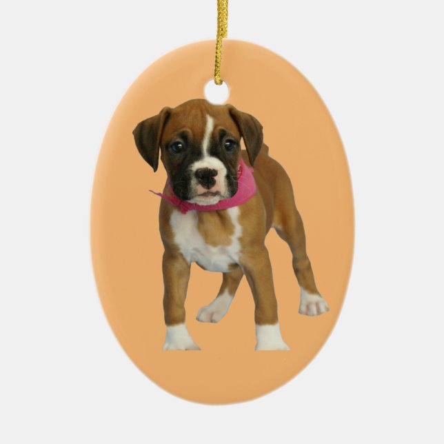 Boxer-Welpen-Oval-Verzierung Keramikornament (Vorne)