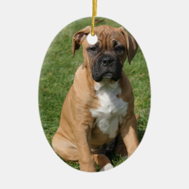 Boxer-Welpen-Verzierung Keramik Ornament (Vorne)