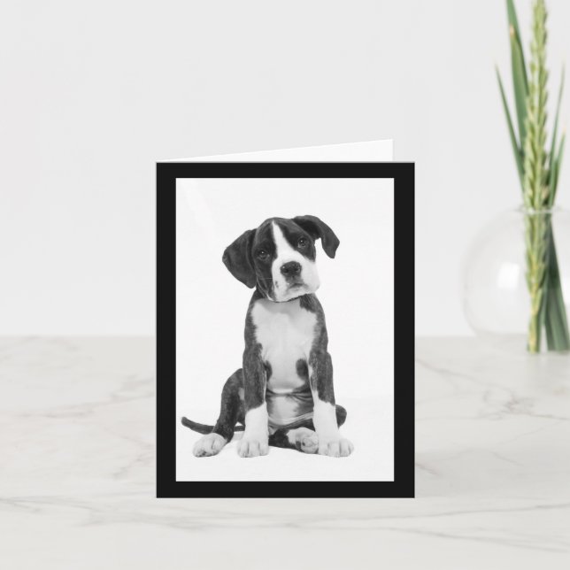 Boxer Welpenhund - leere Notizkarte Karte (Vorderseite)