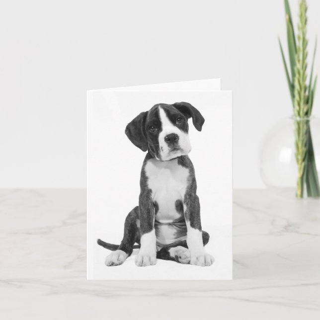 Boxer Welpenhund - leere Notizkarte Karte (Vorderseite)