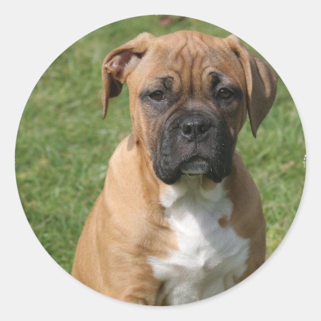 Boxer Welpensticker Runder Aufkleber (Vorderseite)