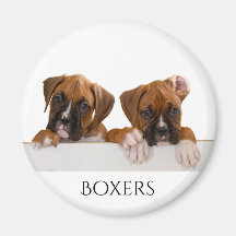 Boxer Welppies