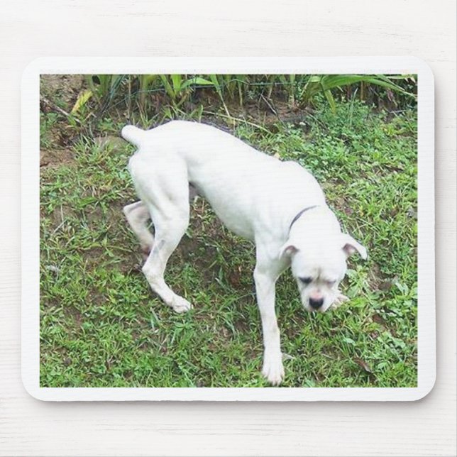 Boxer White Puppy full Mousepad (Vorne)