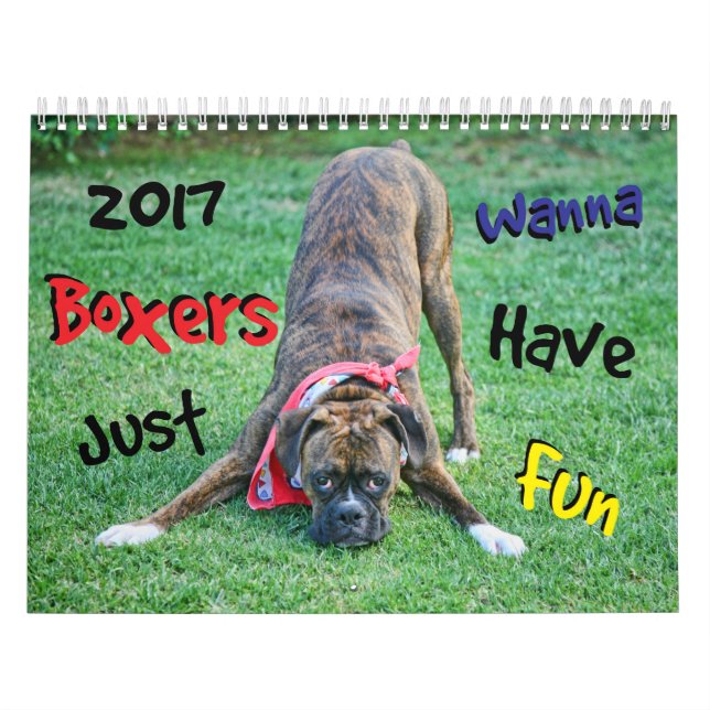 Boxer wollen gerade, um Kalender des Spaß-2017 zu (Titelbild)