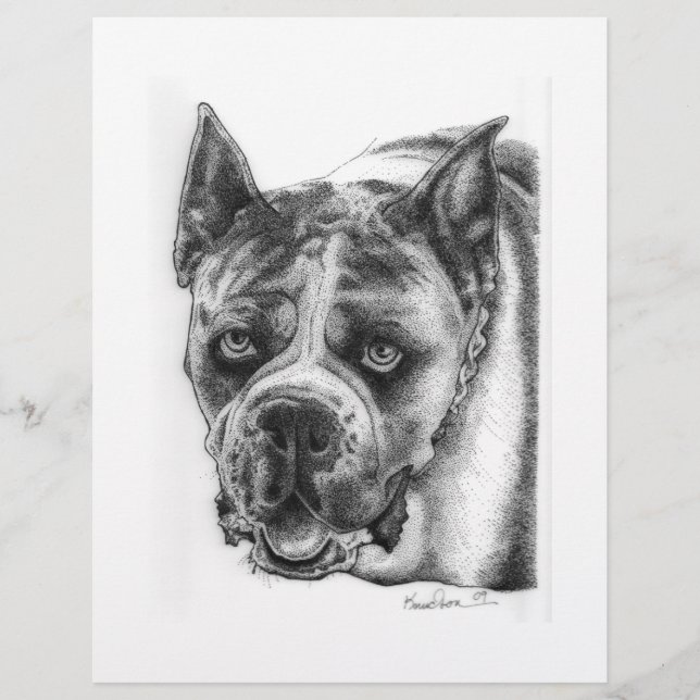 Boxer Zeichnend Flyer (Vorne)