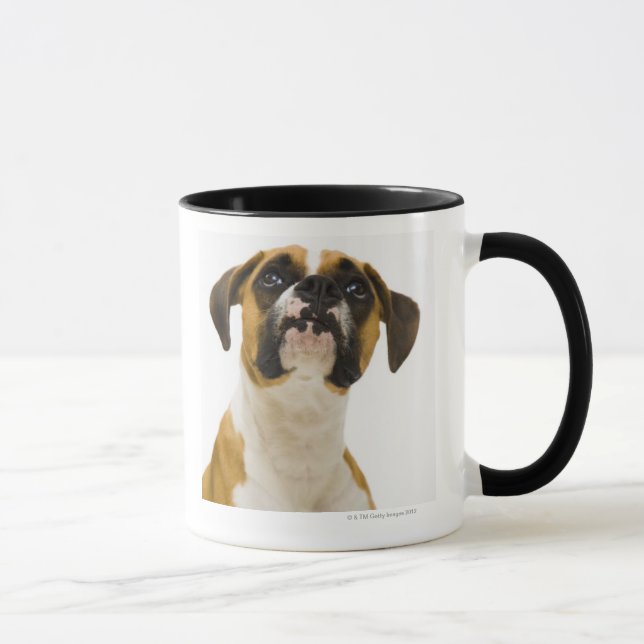 Boxerhund, der oben schaut tasse (Rechts)