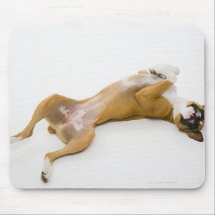 Boxerhund, der zurück auf sie auf den Boden legt Mousepad