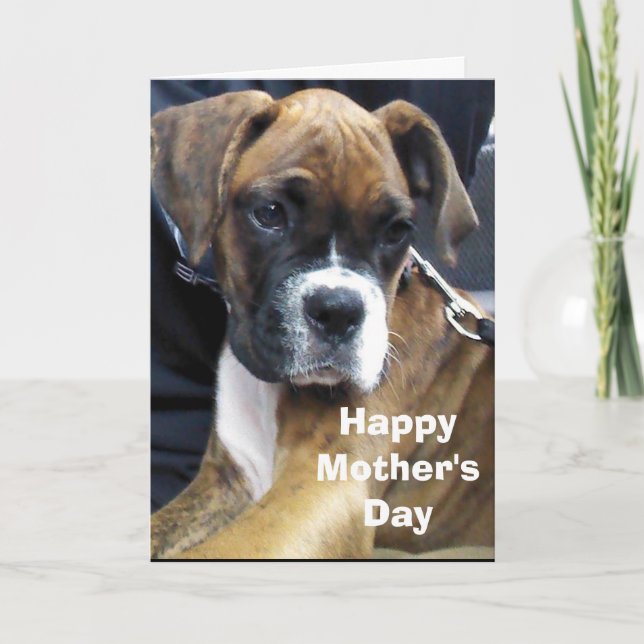 BOXERHUND  KARTE (Vorderseite)