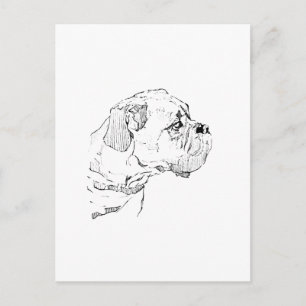 Boxerhund – Minimalistische Illustration für Hunde Postkarte