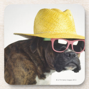 Boxerhund mit Hut und Gläsern Untersetzer