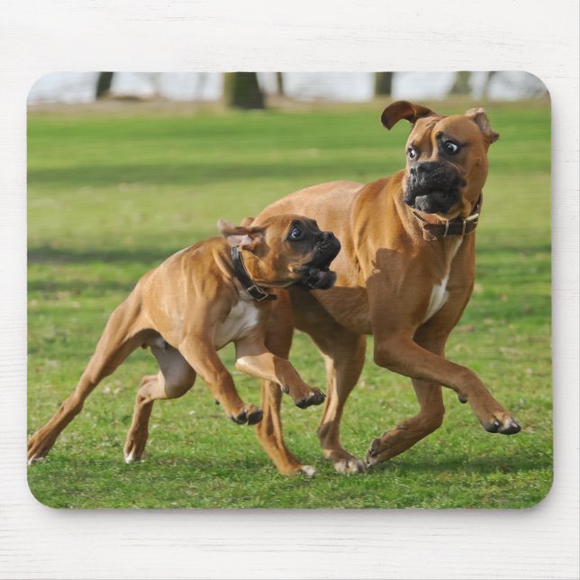 Boxerhunde lassen ein lustiges Rennen laufen Mousepad (Vorne)