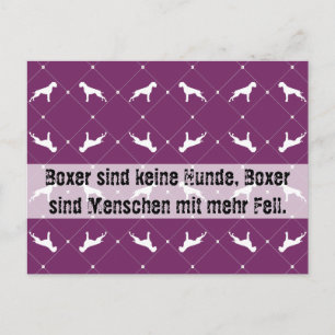 Boxerhunde Postkarte