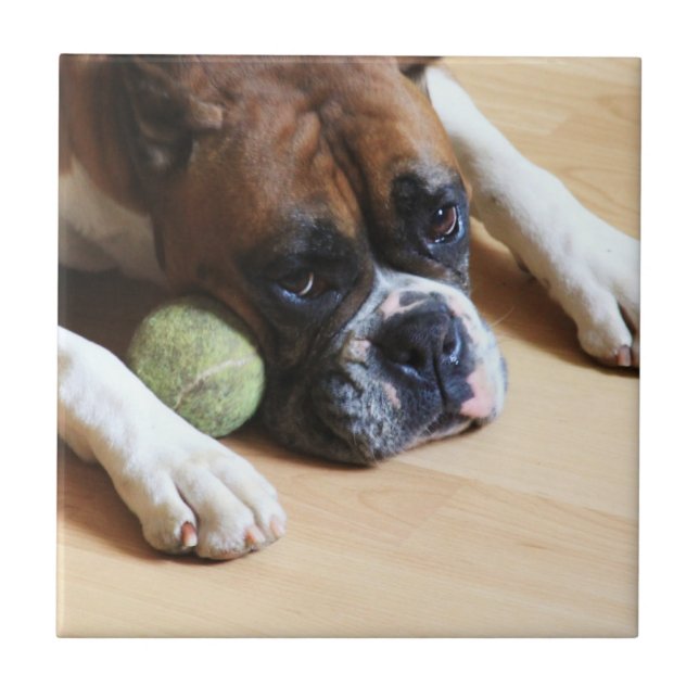 BoxerhundKeramik-Fliese Fliese (Vorderseite)