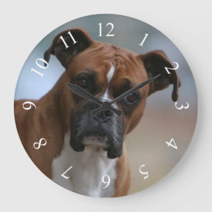 Boxerhundporträt-runde Wanduhr