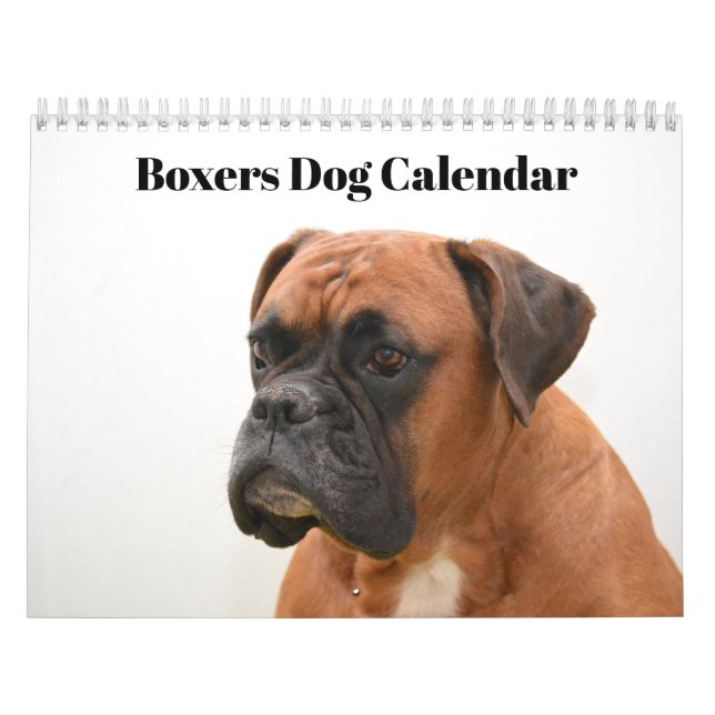 Boxers Hund 2020 Kalender (Titelbild)
