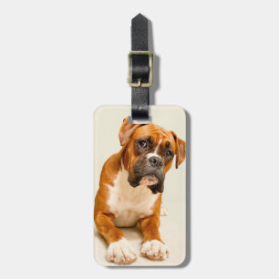 Boxerwelpe auf Elfenbeincremehintergrund Gepäckanhänger