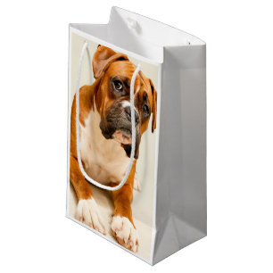 Boxerwelpe auf Elfenbeincremehintergrund Kleine Geschenktüte