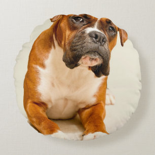 Boxerwelpe auf Elfenbeincremehintergrund Rundes Kissen
