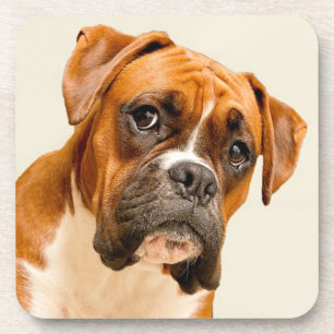 Boxerwelpe auf Elfenbeincremehintergrund Untersetzer