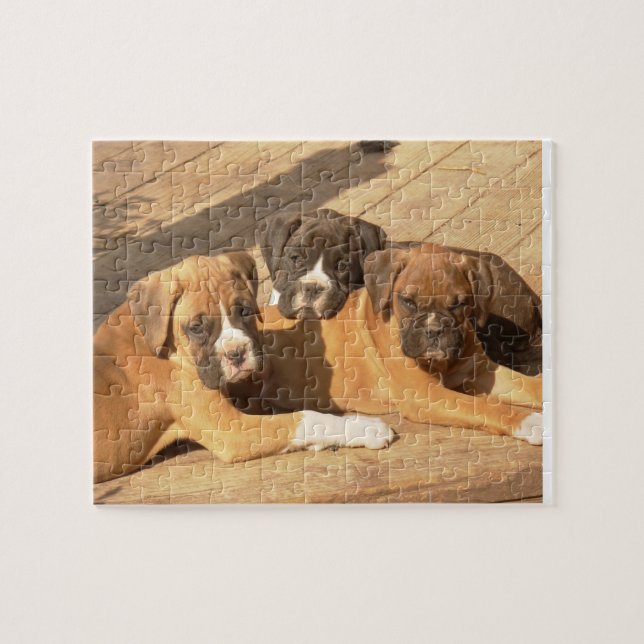 Boxerwelpen 8x10 Foto-Puzzlespiel mit Zinn (Horizontal)