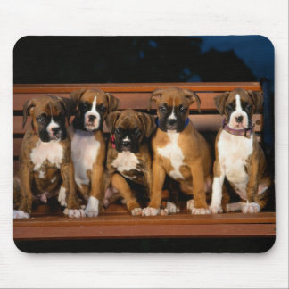 Boxerwelpen-Mausunterlage Mousepad
