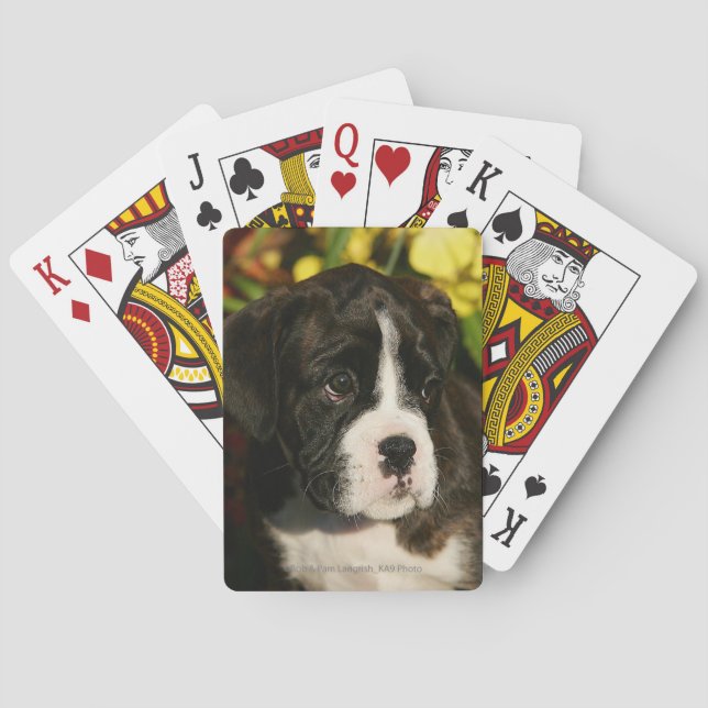 Boxerwelpen Spielkarten (Rückseite)