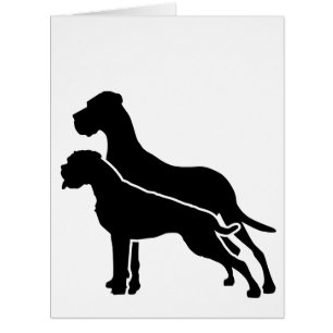 Boxeur et Grand Danois