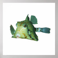 Boxfish - Abstraktes Design - Aus einem Foto schne