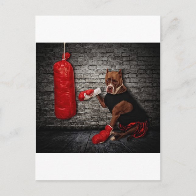 Boxgrube Postkarte (Vorderseite)