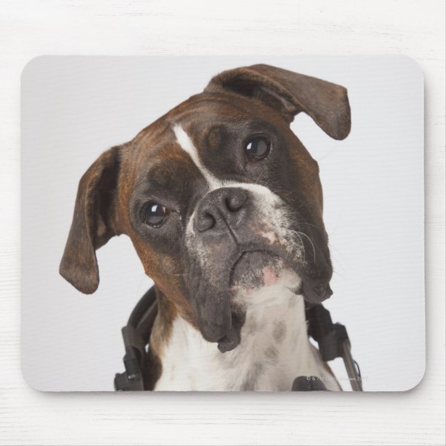 Boxhund mit Kopfhörer Mousepad (Vorne)